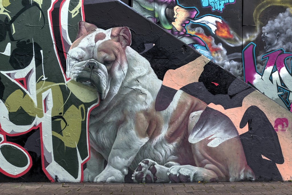 graffiti eindhoven hdr urbex art kunst kunstwerk mural murals berenkuil straatkunst